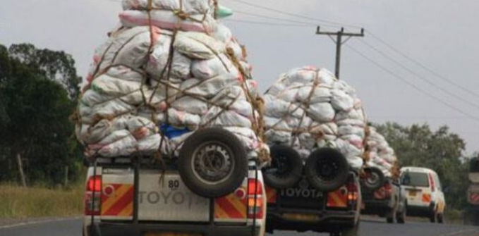 Pickups transporting Miraa from Meru to Nairobi.